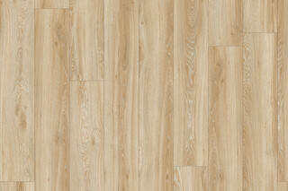Blackjack Oak 22220  von  IVC Commercial
