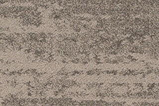 Bruut 975  von  IVC Commercial