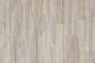 Santa Cruz Oak 59143  by  IVC Commercial