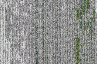 Disruptive Path 916  von  IVC Commercial