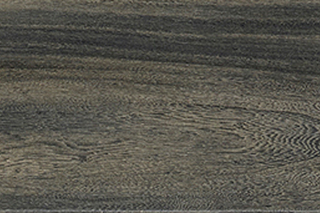Fazino Maple 28920  von  IVC Commercial