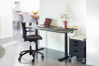 Sit-Stand Table HAIMISH  by  VARIO