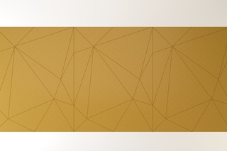 Wall Covering Facet  by  Impact Acoustic