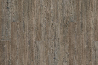 Latin Pine 24868  von  IVC Commercial