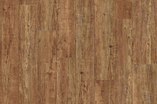 Latin Pine 24874  von  IVC Commercial
