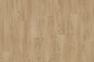Laurel Oak 51824  von  IVC Commercial