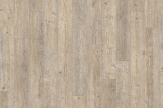 Swedish Pine 2242  by  IVC Commercial