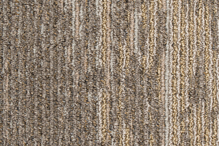 Metallic Path 859  von  IVC Commercial