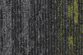 Organic Shift 956  von  IVC Commercial