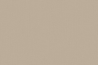 Rochus T36  by  IVC Commercial