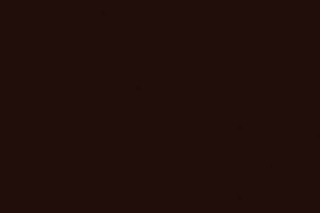 Coffee Brown S101  by  HIMACS