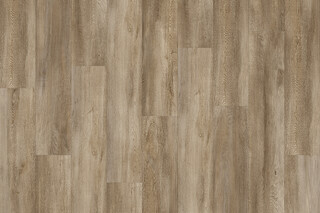 Santa Cruz Oak 59253  von  IVC Commercial