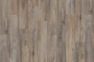Santa Cruz Oak 59823  von  IVC Commercial