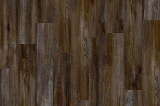 Santa Cruz Oak 59963  von  IVC Commercial