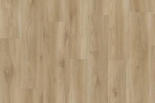 Sierra Oak 58847  von  IVC Commercial