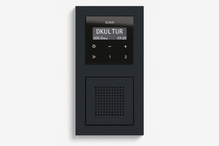 RDS flush-mounted radio with a speaker black glass appearance (including E2)  by  Gira