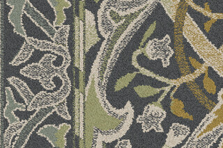 Arley Lichen  by  Interface