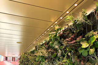 LED-Hayat built-in  by  ADO Lights