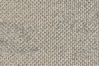 Dry Bark  by  Interface