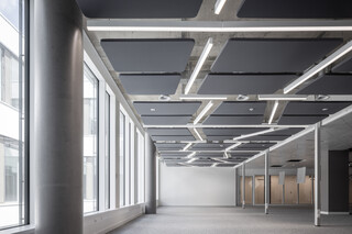 MUTE+® skin  by  Lindner Group