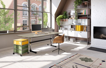 USM Haller Home Office Situation