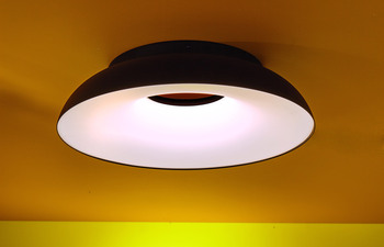 2891 maggiolone