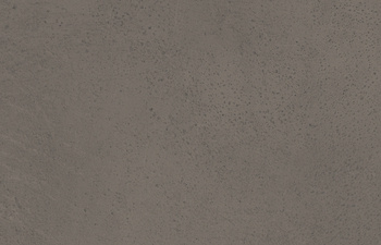Hoover Stone 46957