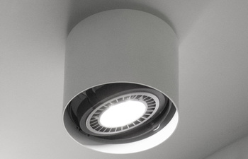 2876/1 eye