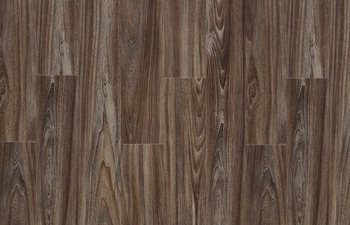 Baltic Maple 28884