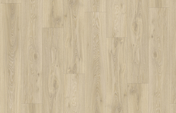 Blackjack Oak 22215