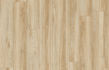 Blackjack Oak 22220