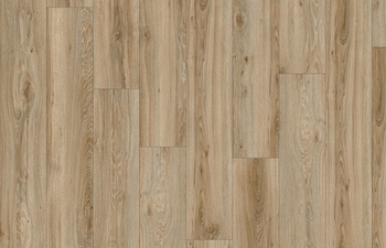 Blackjack Oak 22229