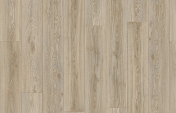 Blackjack Oak 22246