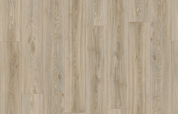 Blackjack Oak 22246