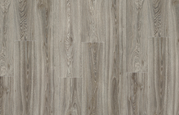 Blackjack Oak 22937