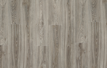 Blackjack Oak 22937