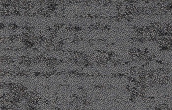 Bruut 569