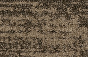 Bruut 685