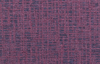 Balanced Hues 455