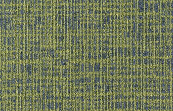 Balanced Hues 646