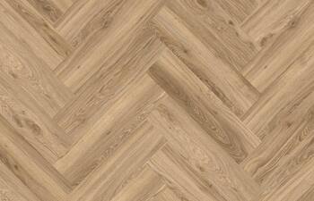 Blackjack Oak 22229