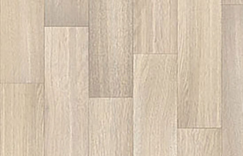 Botticelli T35