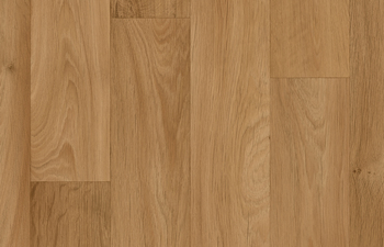 Camargue Golden Oak 558