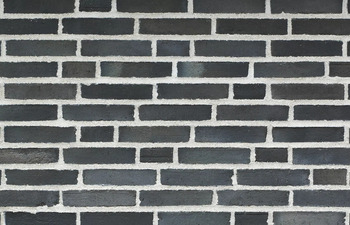 D55