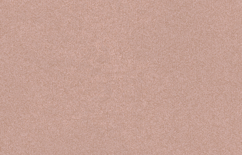 Desert Crayola 46533