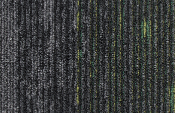 Disruptive Path 946