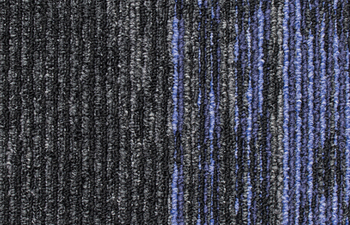 Disruptive Path 954