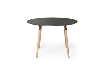 Conference Table HAIMISH