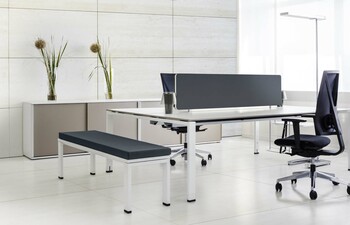 Desk Seat Height ICON Team