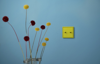 LS 1912 in Les Couleurs® Le Corbusier® | Schalterprogramme